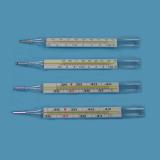 Mercury Clinical Thermometer