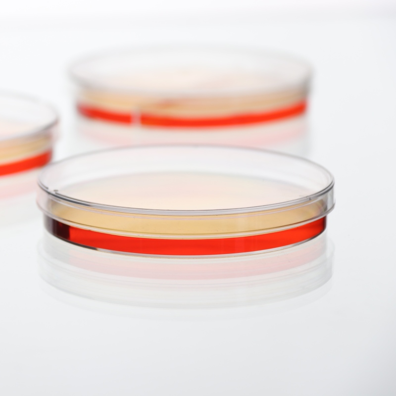 Wholesale Plastic Petri Dishes For Microbiological Procedures